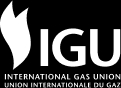 logo IGU International Gas Union